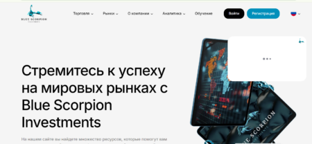 Blue Scorpion Investments