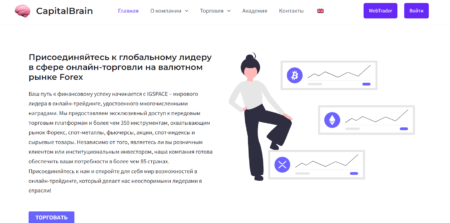 Theparadisenetwork.com
