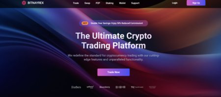 bitnayrex.com